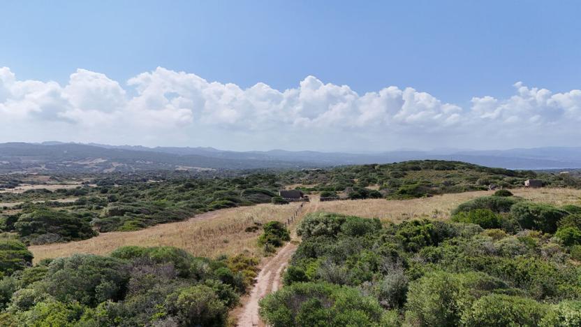 Prodej pole, Santa Teresa Gallura, Sardinie, Itálie, 81812 m2