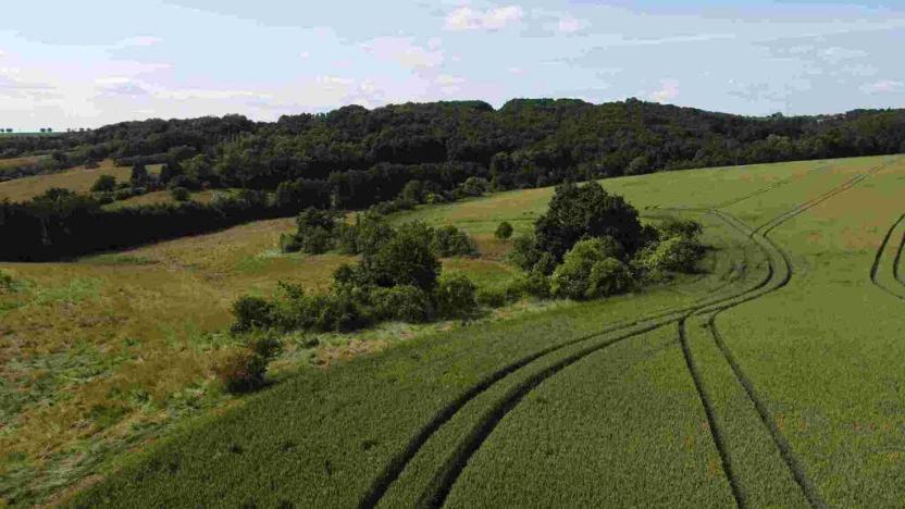 Prodej pozemku, Dobrkovice, 30944 m2