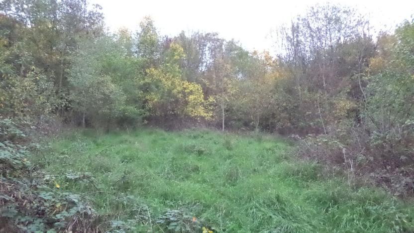 Prodej pozemku, Ústí nad Labem - Mojžíř, 14780 m2