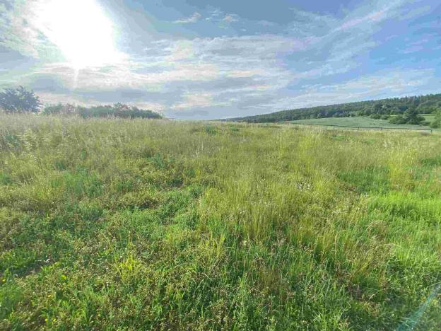 Prodej pozemku, Petrovice, 5404 m2