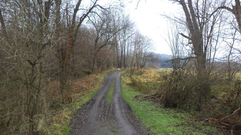 Prodej pozemku, Nové Hrady - Vyšné, 4213 m2