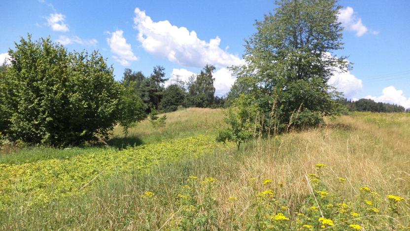 Prodej pozemku, Stráž, 15644 m2