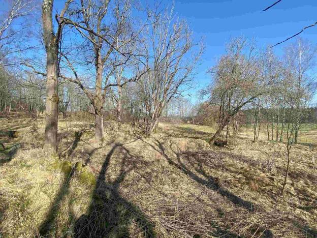 Prodej pozemku, Dolní Dvořiště - Všeměřice, 11107 m2