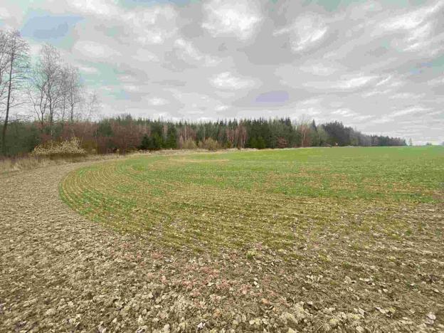 Prodej pole, Žinkovy, 15275 m2