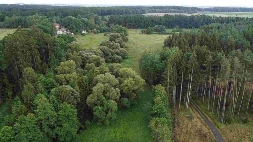 Prodej pole, Chýnov - Dobronice u Chýnova, 22334 m2