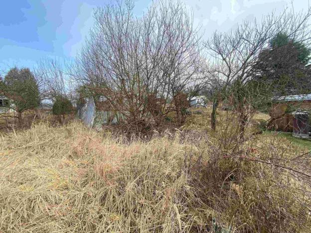 Prodej zahrady, Střížovice, 159 m2