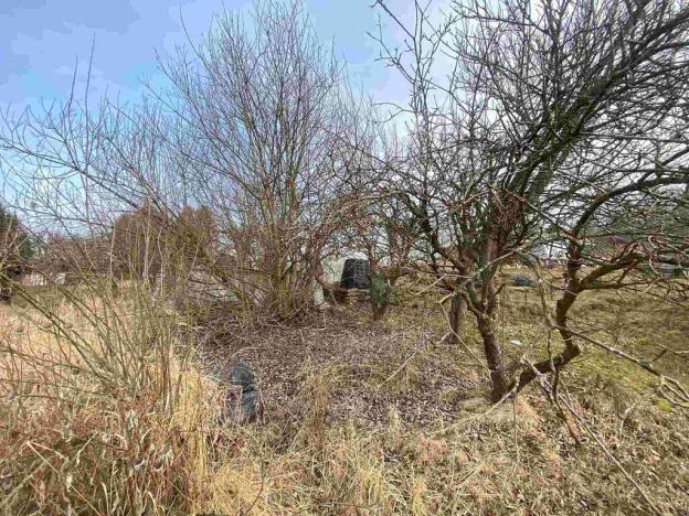 Prodej zahrady, Střížovice, 159 m2