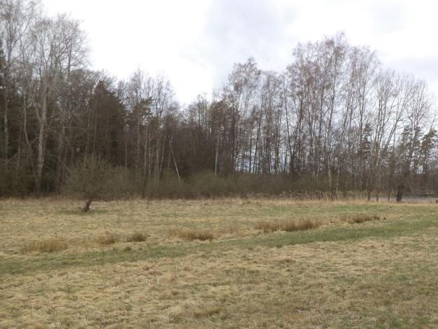 Prodej pozemku, Chlum u Třeboně - Lutová, 6727 m2