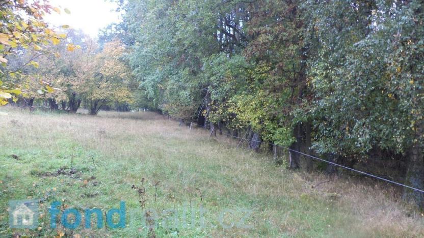 Prodej pole, Přimda, 35381 m2