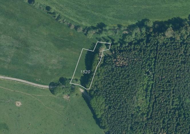 Prodej pole, Chodský Újezd - Nahý Újezdec, 25088 m2