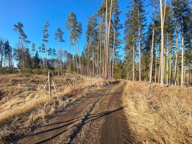 Prodej pole, Kočov - Klíčov, 3847 m2