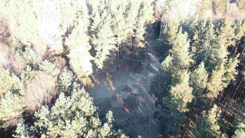 Prodej pole, Kočov - Klíčov, 3847 m2