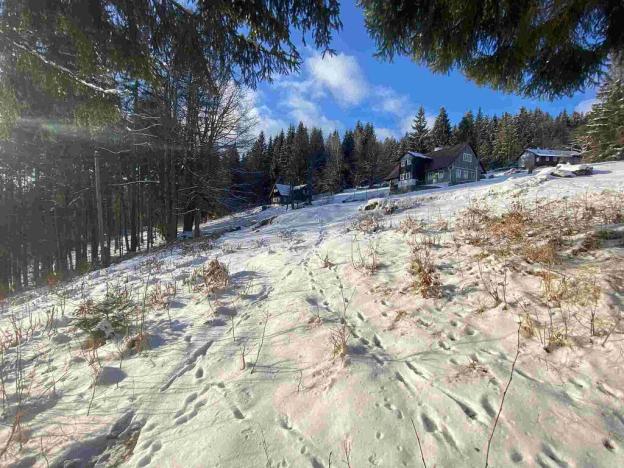 Prodej pozemku, Albrechtice v Jizerských horách, 4671 m2