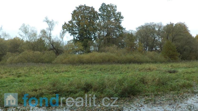 Prodej pozemku, Nová Ves nad Lužnicí, 10115 m2