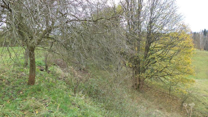 Prodej pozemku, Aš, 1691 m2