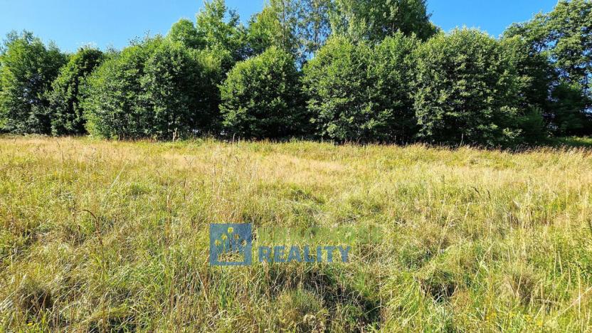 Prodej louky, Trutnov - Babí, 6930 m2