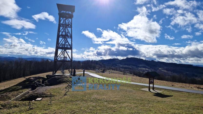 Prodej chaty, Žacléř, Střízlivák, 30 m2