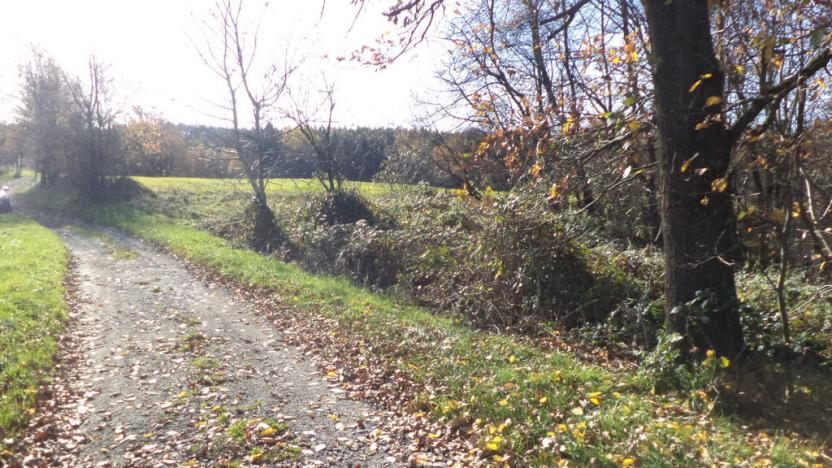 Prodej pozemku, Nové Hrady - Nakolice, 1117 m2