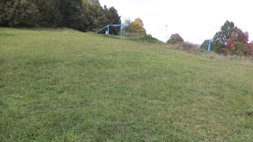 Prodej pozemku, Tachov, 27085 m2