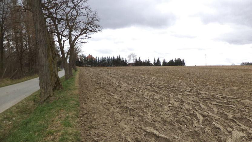 Prodej komerčního pozemku, Cehnice, 9229 m2