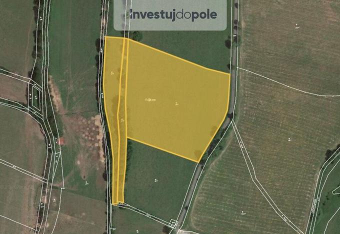 Prodej louky, Velké Chvojno - Mnichov, 34693 m2