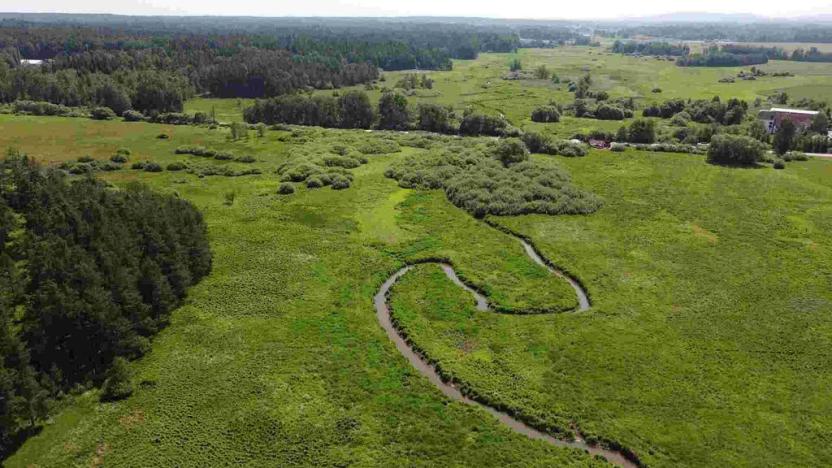 Prodej pozemku, Jílovice, 20535 m2