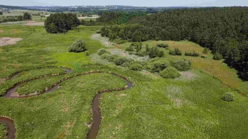 Prodej pozemku, Jílovice, 20535 m2