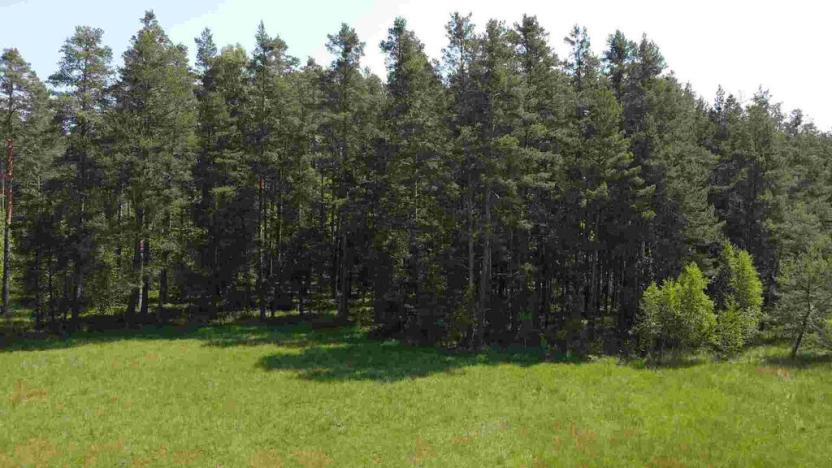 Prodej pozemku, Jílovice, 20535 m2