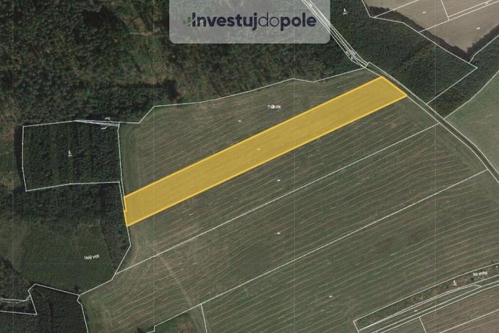 Prodej pole, Břasy - Vranovice, 15952 m2