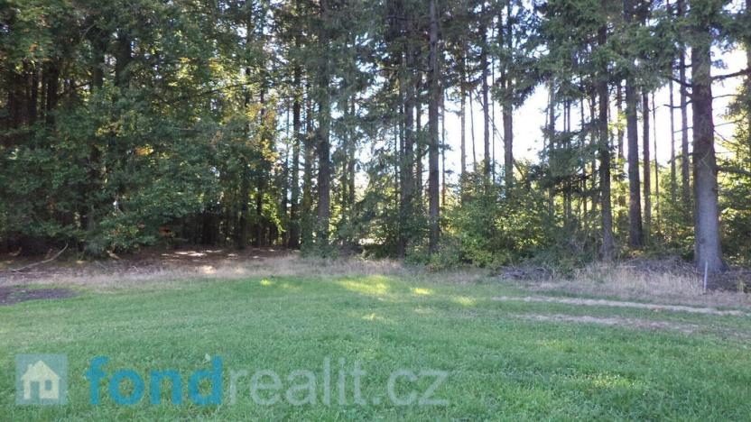 Prodej pozemku, Studená, 4992 m2