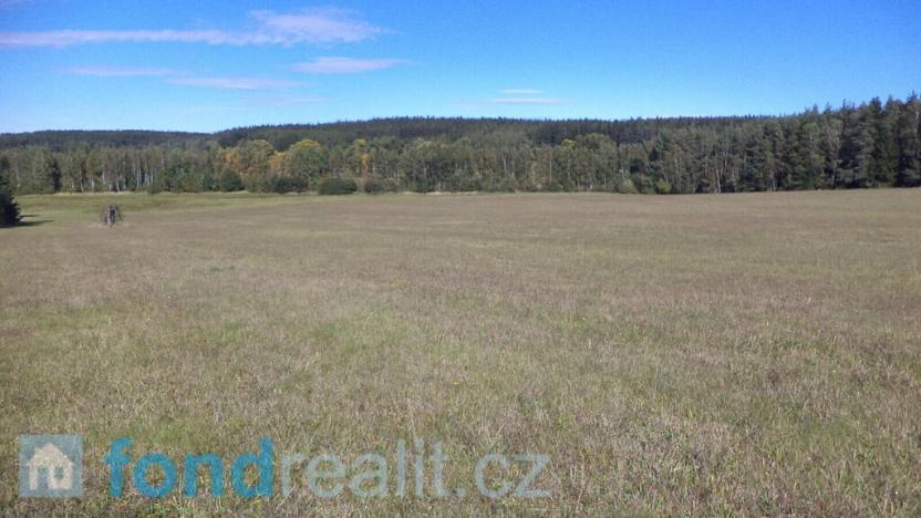 Prodej pozemku, Nová Bystřice, 8516 m2