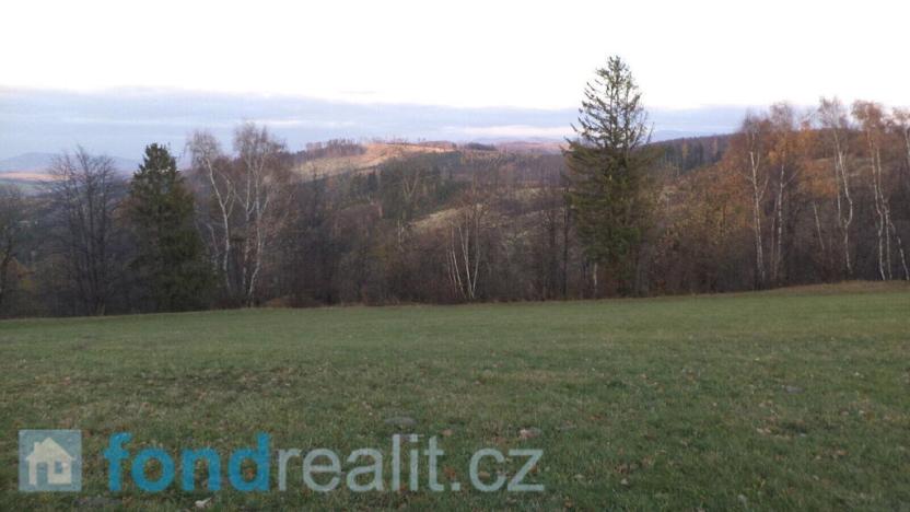 Prodej pozemku, Loučka, 7350 m2