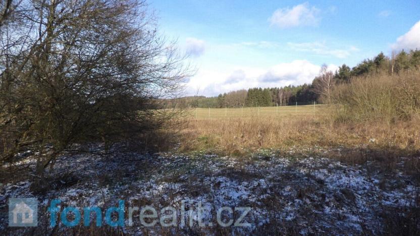 Prodej pozemku, Staré Město pod Landštejnem, 3575 m2