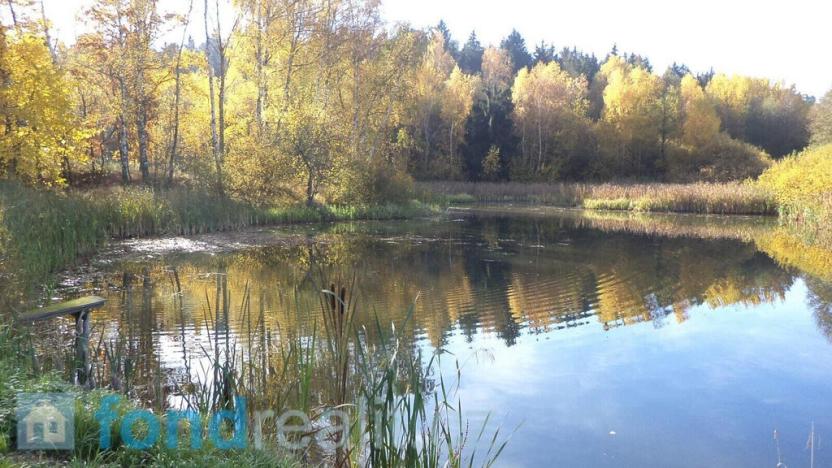 Prodej pozemku, Borovná, 1225 m2