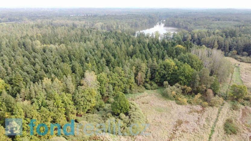 Prodej pozemku, Hamr, 6582 m2