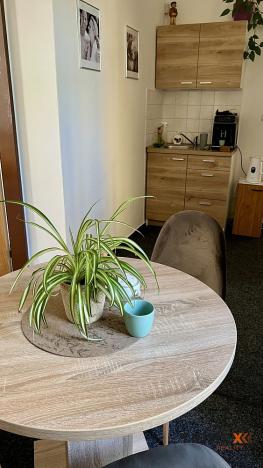 Pronájem kanceláře, Ostrava - Přívoz, Fügnerova, 34 m2