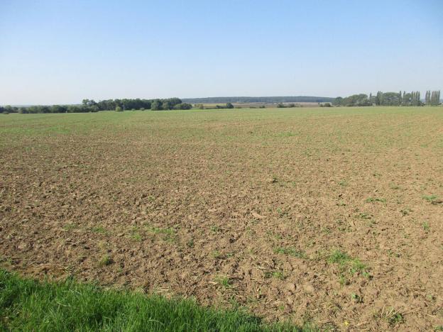 Prodej pole, Obecnice, 15250 m2