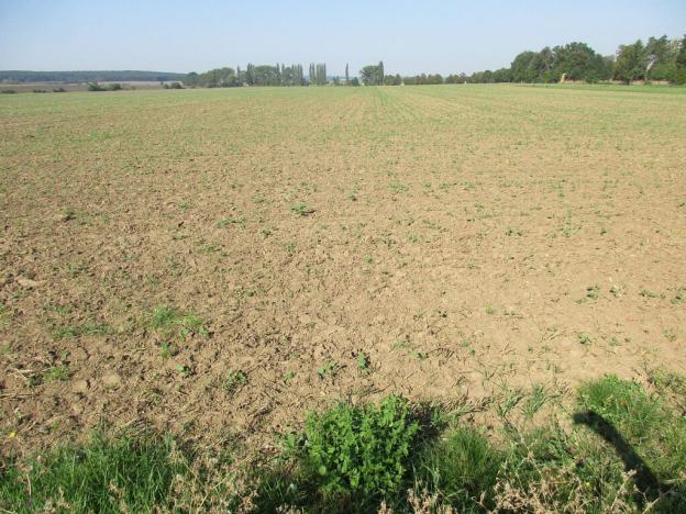 Prodej pole, Obecnice, 15250 m2