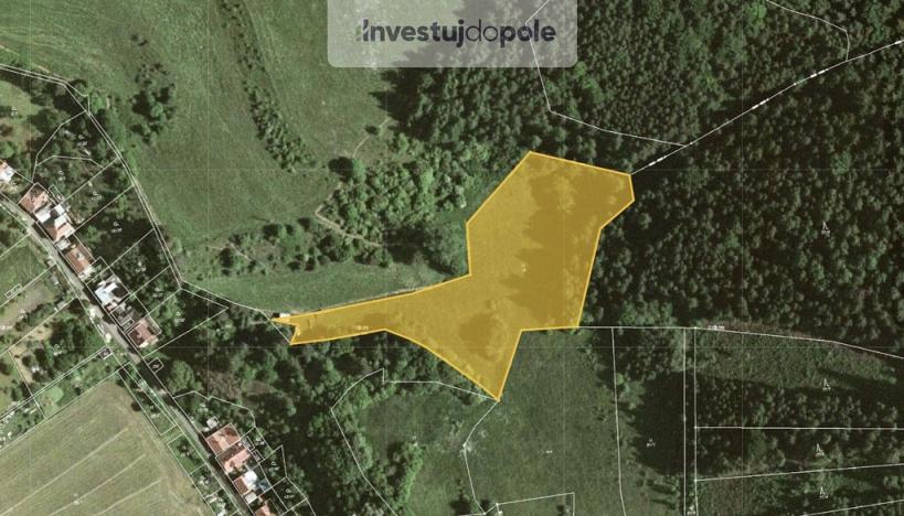 Prodej louky, Stvolová - Skřib, 9632 m2