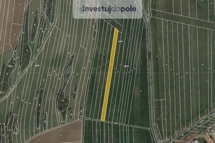 Prodej pole, Ostrov u Macochy, 3708 m2
