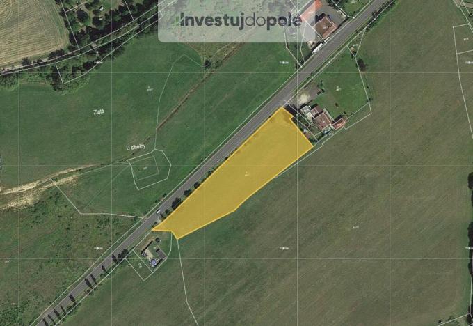 Prodej louky, Kynšperk nad Ohří - Zlatá, 7490 m2