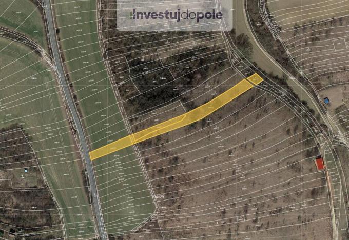Prodej louky, Ždánice, 2540 m2