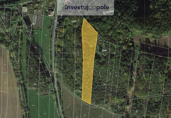 Prodej lesa, Mutějovice, 6819 m2