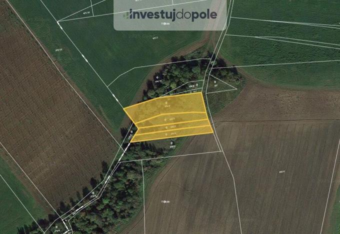 Prodej pozemku, Nové Sedlo - Číňov, 3723 m2