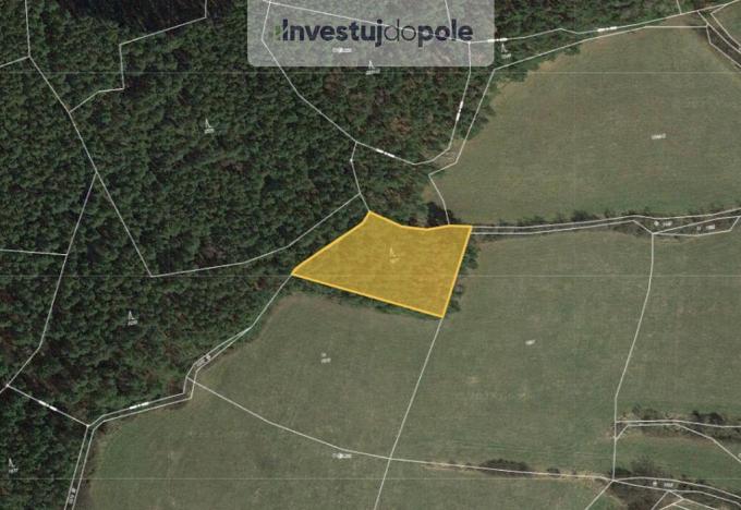Prodej lesa, Zálezly, 2526 m2