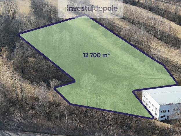 Prodej komerčního pozemku, Vimperk - Pravětín, 12700 m2