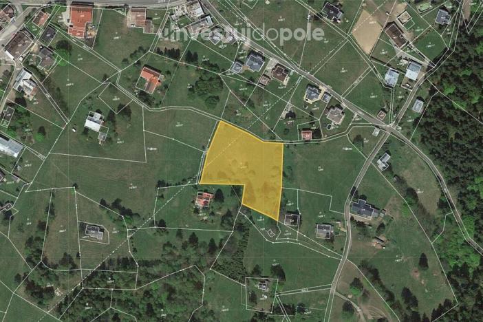 Prodej louky, Kořenov - Příchovice, 2363 m2
