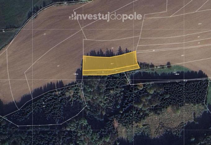 Prodej pole, Zbizuby, 1771 m2