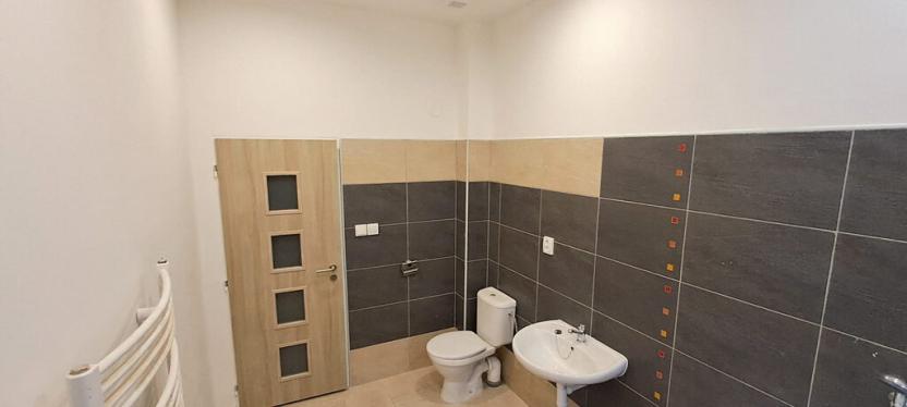 Pronájem bytu 2+kk, Peruc, U Koupaliště, 59 m2