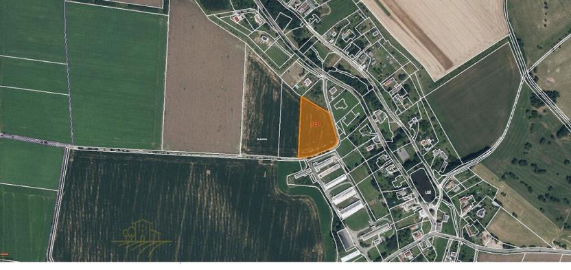 Prodej pole, Litíč, 9124 m2